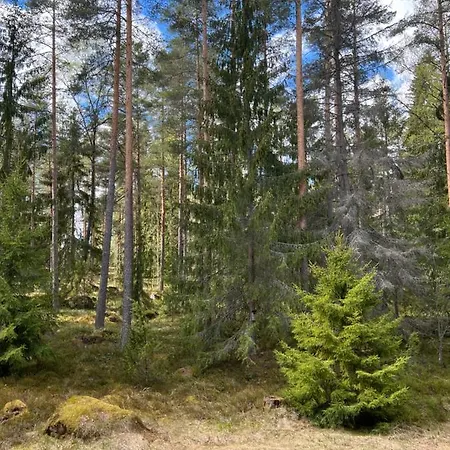 Forest Апартаменты